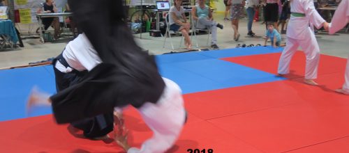 Rentrée de l’Aïkido au Forum Samedi 31/08 et Dimanche 01/09/2019